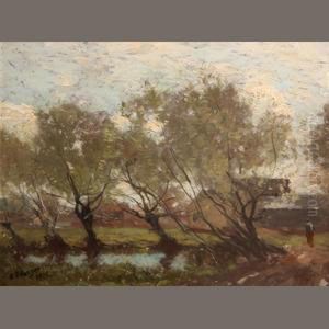 Trees Along A Pool