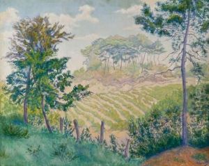 Paysage De Bretagne