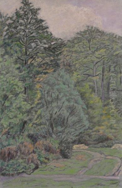 Prairie Et Ruisseau - view 1