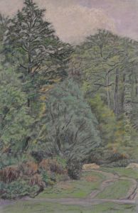 Prairie Et Ruisseau