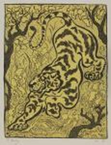 Tigre Dans Les Jungles