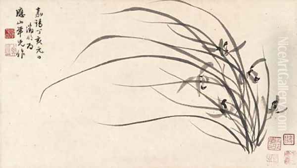 Orchid - view 1
