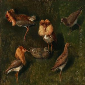 Ruffs And Chicken