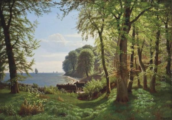 A Hidden Woodland Cove - view 1