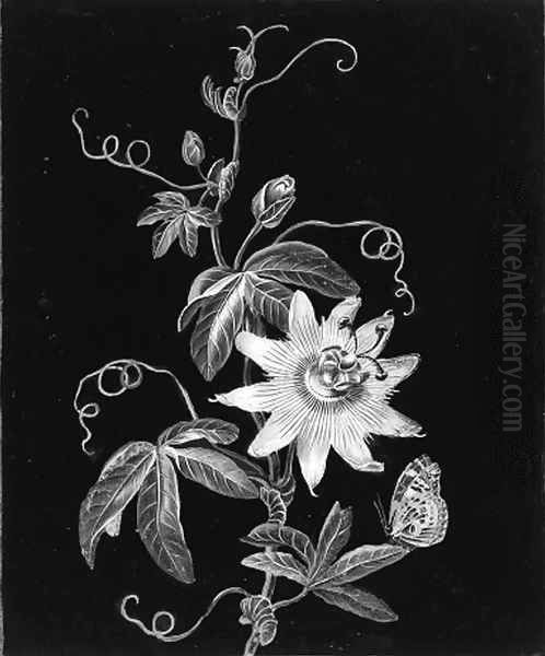 A passion flower with a butterfly - view 1