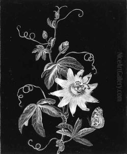 A passion flower with a butterfly by Adam Louis Wirsing