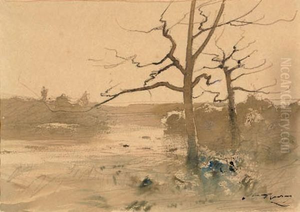 Etude D'arbres Dans Les Marais - view 1
