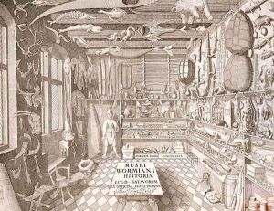 Museum of Ole Worm, Leiden, 1655 by G. Wingendorp