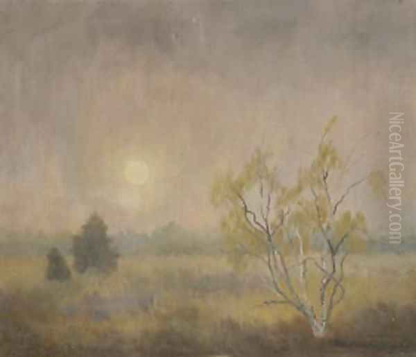 Mist Kalmpthout - view 1