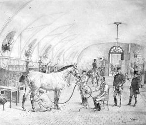 The Royal Stables: morning grooming by Adele Walter