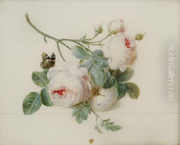 Roses Et Papillon - view 1