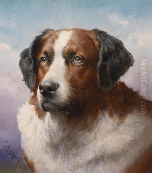Saint Bernard - view 1