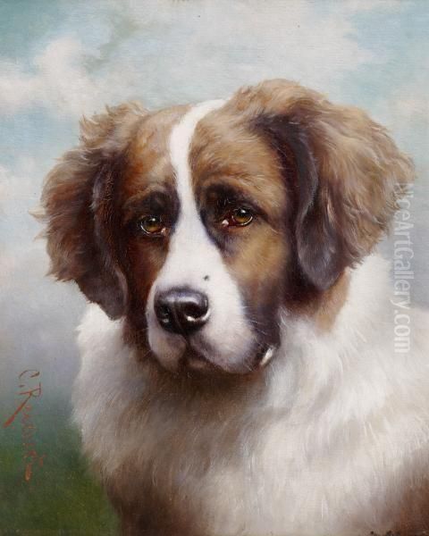 Portrait Of A Saint Bernard.bh - view 1