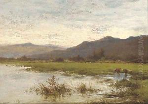 Near Renfrew, North Wales