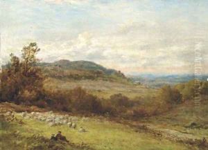 On the Surrey hills