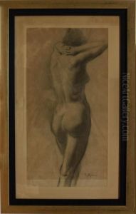 Desnudo Femenino