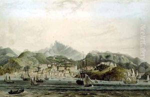 A View of the Town of St. George and Richmond Heights on the island of Grenada, engraved by William Daniell (1769-1837), c.1810