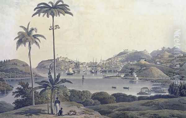A View of the Town of St. George on the Island of Grenada, taken from the Belmont Estate, engraved by William Daniell (1769-1837), c.1810 - view 1