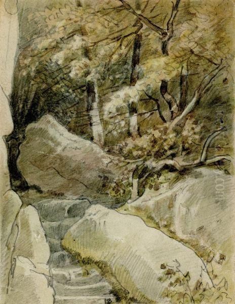 Study Of A Landscape - view 1