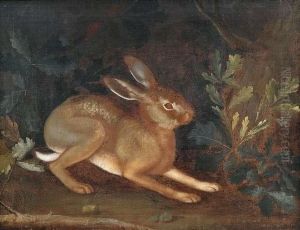Hase Im Unterholz