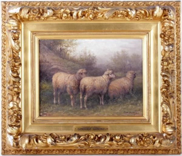 Sheep At Rest - view 1