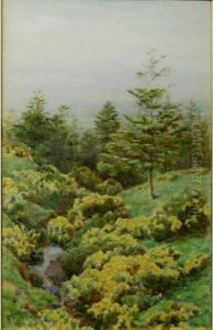 A Lakeland Scene
