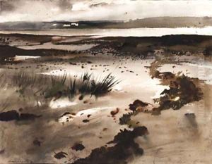 Tide Pools