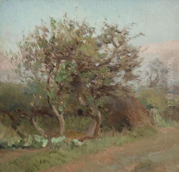 Summer - view 1