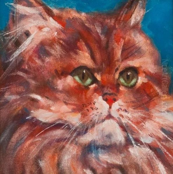 Persian Cat - view 1