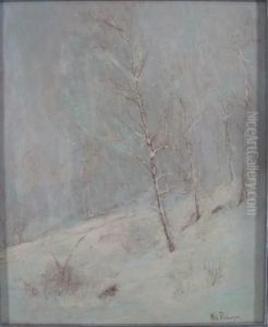 Birches In Snow