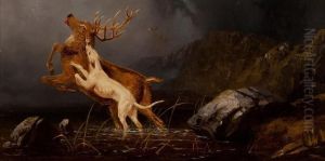 Dog Attacking A Stag In The Highlands by Robert Henry Roe
