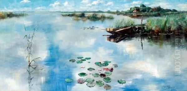 Plasgezicht Met Wolkenreflectie En Waterlelies - view 1