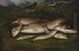 Trout, Pike, Roach, Dace And Gudgeon On A Riverbank