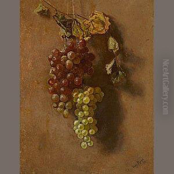 Grapes Suspended - view 1