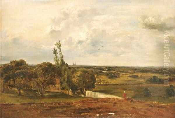 Extensive Landscape - view 1