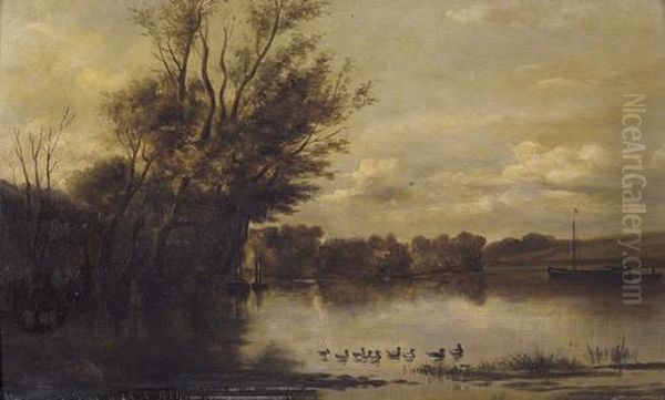 Stimmungsvolle Flusspartie Mit Enten - view 1