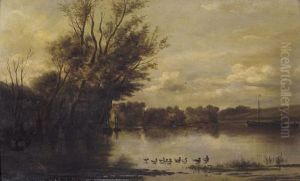 Stimmungsvolle Flusspartie Mit Enten
