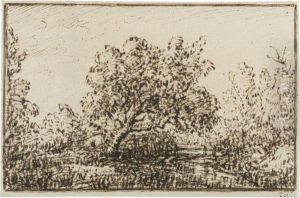 Study Of A Tree In The Forest Of Fontainebleau by Theodore Rousseau