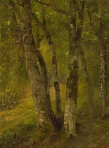 Baume