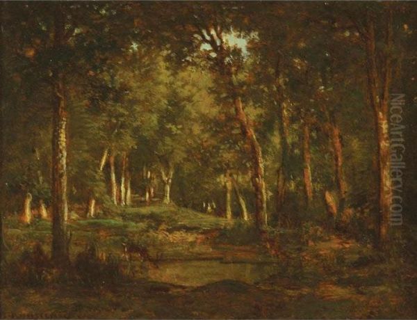 La Mare Aux Biches - view 1