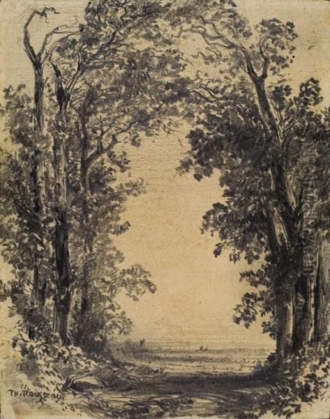 Parklandschaft - view 1