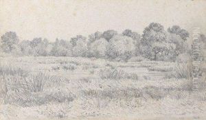 Etang En Lisiere De Bois