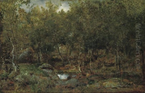 Les Vieux Bouleaux Au Plateau De Bellecroix En Foret Defontainebleau - view 1