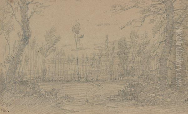 Paysage - view 1