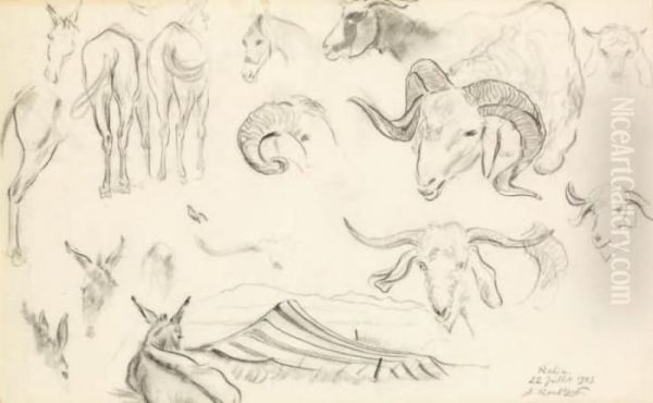 Etude D'animaux A Rohia - view 1