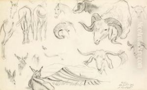 Etude D'animaux A Rohia by Aleksandr Rubcov