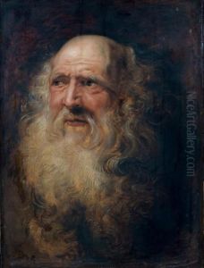 Tete D'homme Barbu by (studio of) Rubens, Peter Paul