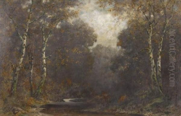 Herbstlich Bewaldete Bachlandschaft - view 1