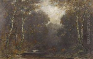Herbstlich Bewaldete Bachlandschaft