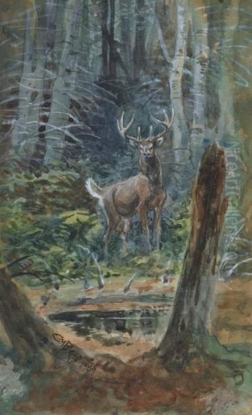 Deer In The Dell - view 1